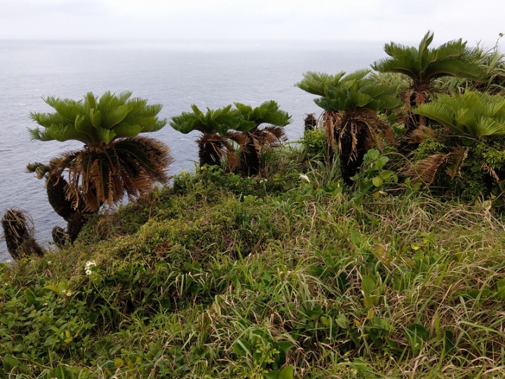 與那國嶼旅遊日記 2018/04/14~18 全集版