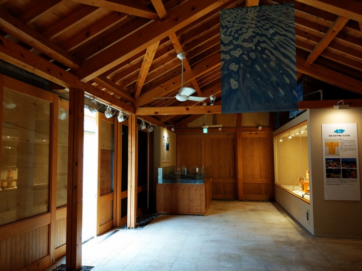 與那國嶼旅遊日記 2018/04/14~18 全集版