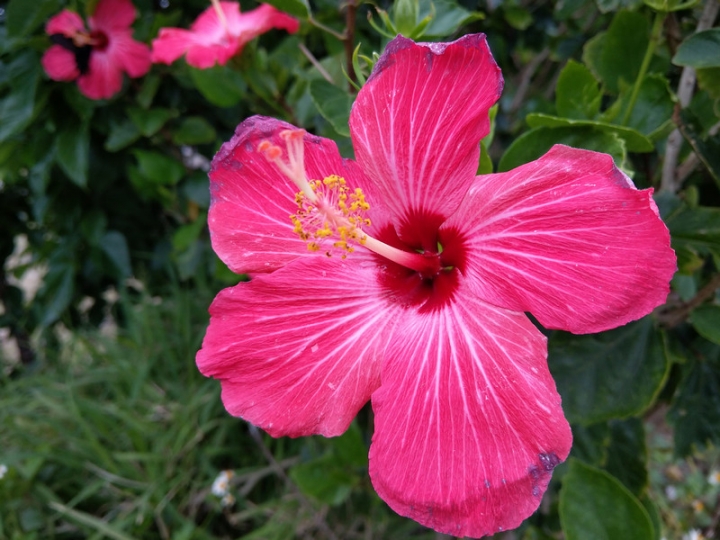 與那國嶼旅遊日記 2018/04/14~18 全集版