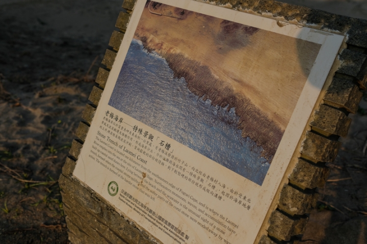 [亂拍照] 淡水紫藤咖啡園一店(屯山園區) + 富貴角燈塔空拍 + 關渡花海節
