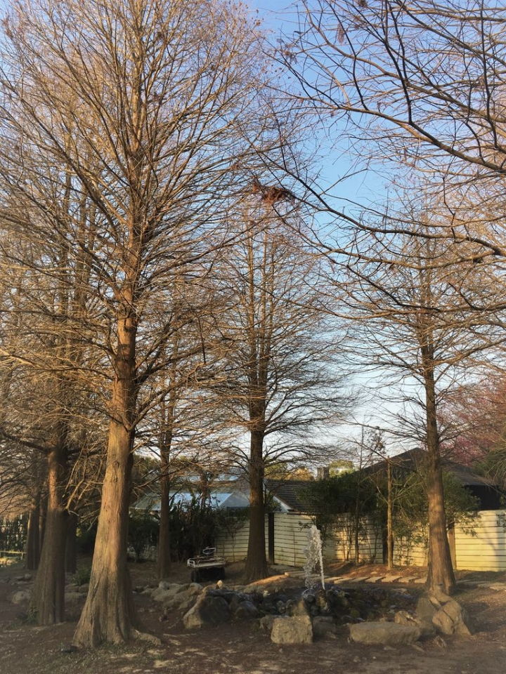 ＜苗栗＞讓全家慵懶一下午的苗栗魔法莊園