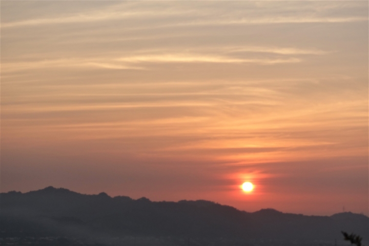 ＜苗栗＞讓全家慵懶一下午的苗栗魔法莊園