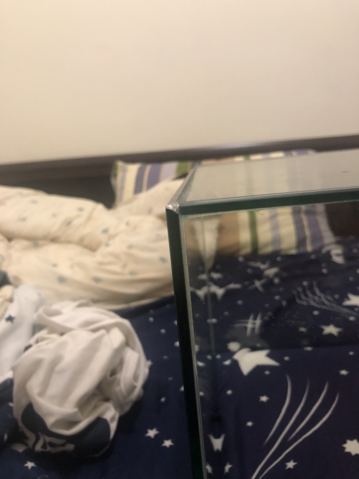 魚缸角角敲到