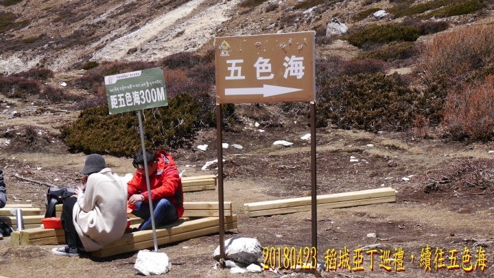 20180423 四姑娘山稻城亞丁之旅-5-亞丁洛絨牛場牛奶海五色海-1
