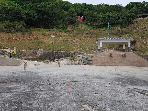 原來馬祖這麼美~馬祖6日跳島單車行