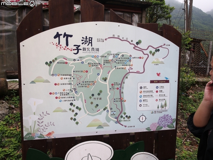 臺北市 北投區 2018竹子湖海芋季 -- 上火山，賞海芋去!!