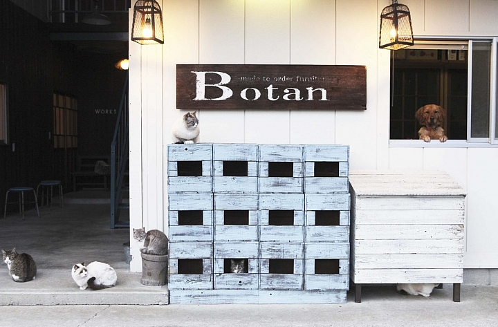 香川的咖啡廳「點心工房 Botan（牡丹）」是我的私房名單！與貓咪共處的療癒時光