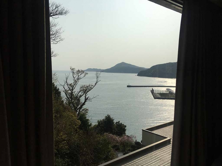 家族太平洋旅行社旅行之靜岡五日賞花團