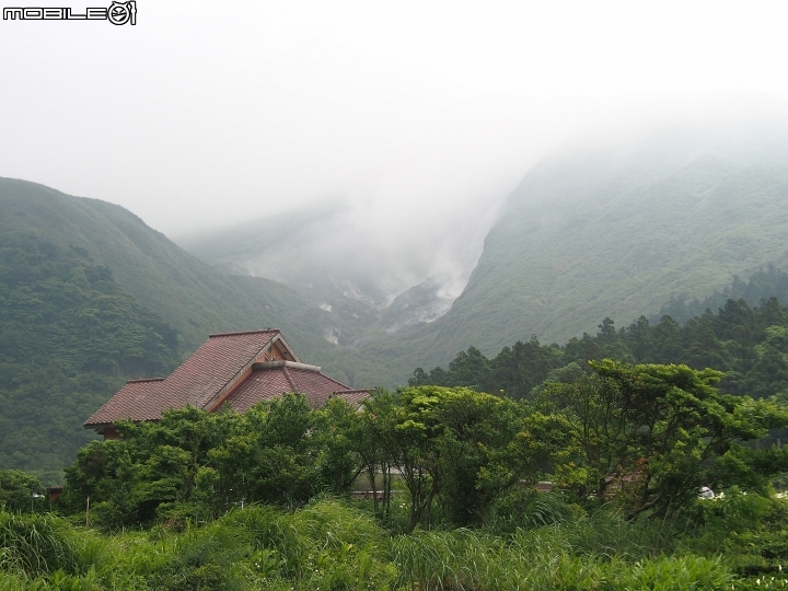 臺北市 北投區 2018竹子湖海芋季 -- 上火山，賞海芋去!!