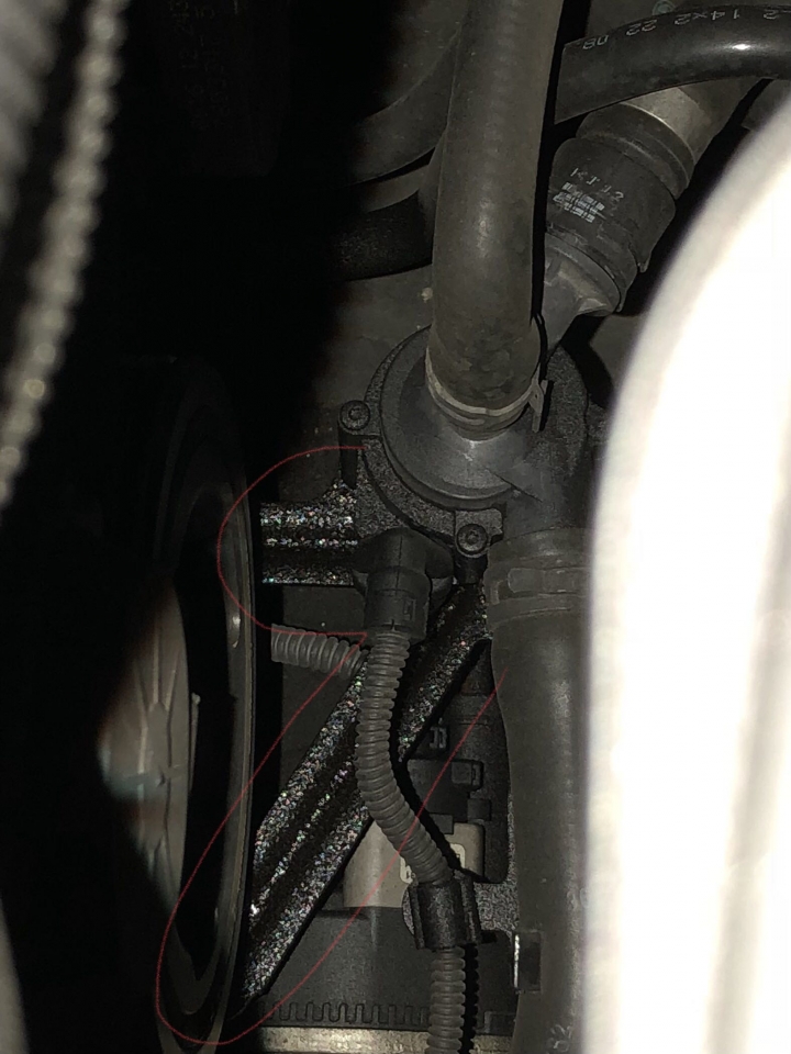 F20 118i 引擎室內漏油？水？