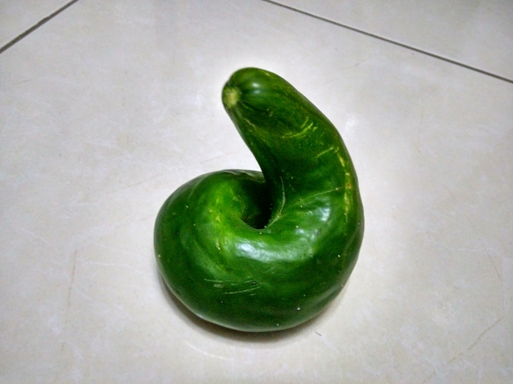這是傳說中的大便瓜嗎?還是蛇瓜?海狗瓜?