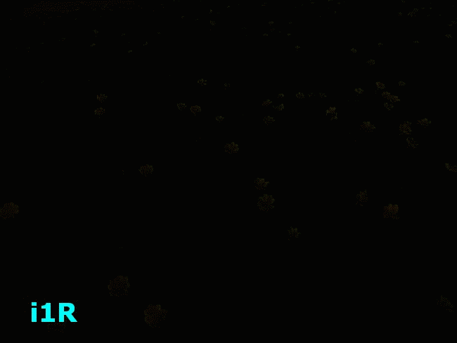 i1R 袖珍小武士(Micro-USB充電)