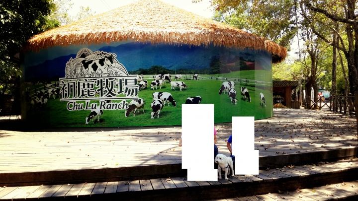 點我看大圖 跪求神人幫忙把過世的狗狗P到歐美的風景裡