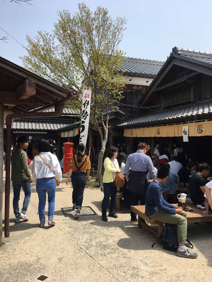 家族太平洋旅行社旅行之靜岡五日賞花團