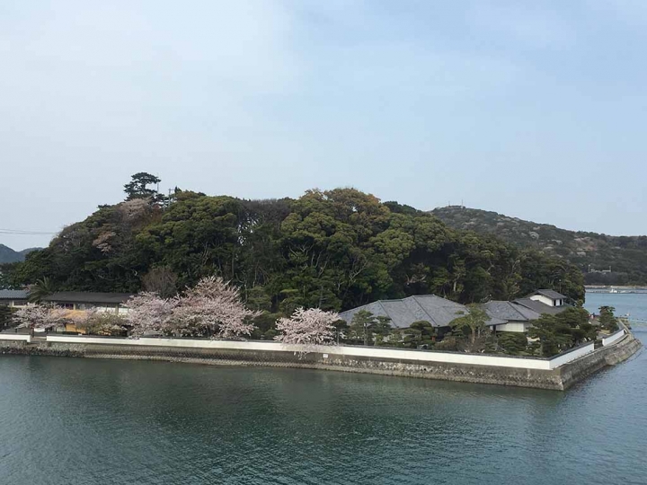 家族太平洋旅行社旅行之靜岡五日賞花團