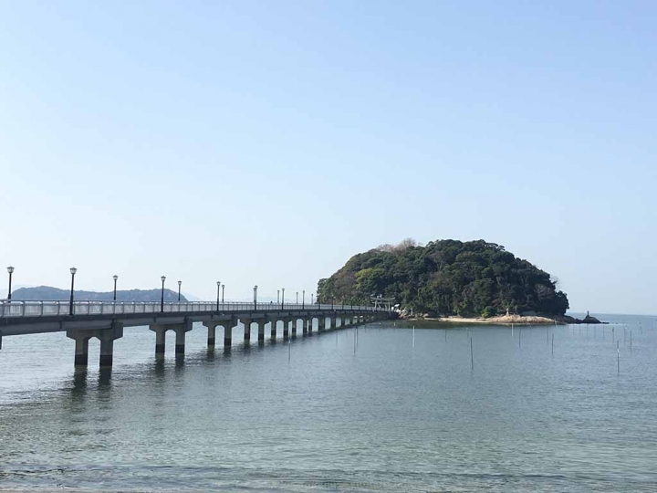 家族太平洋旅行社旅行之靜岡五日賞花團
