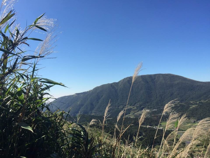陽明山小油坑--實測台灣分享器