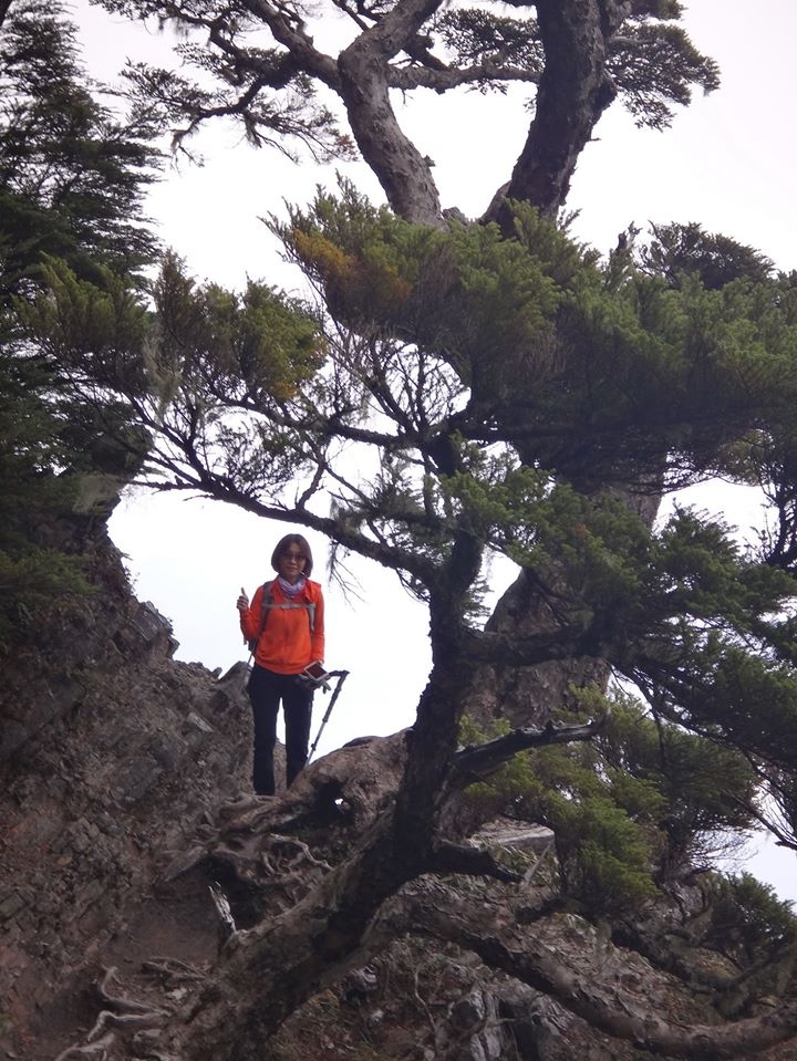 一日三秀行程記錄(104/9/26)