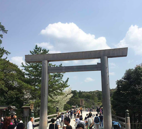 家族太平洋旅行社旅行之靜岡五日賞花團