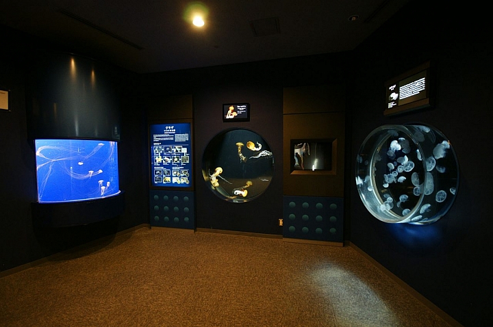IO World鹿兒島水族館全新完工的「水母迴廊」是個超乎想像的療癒空間