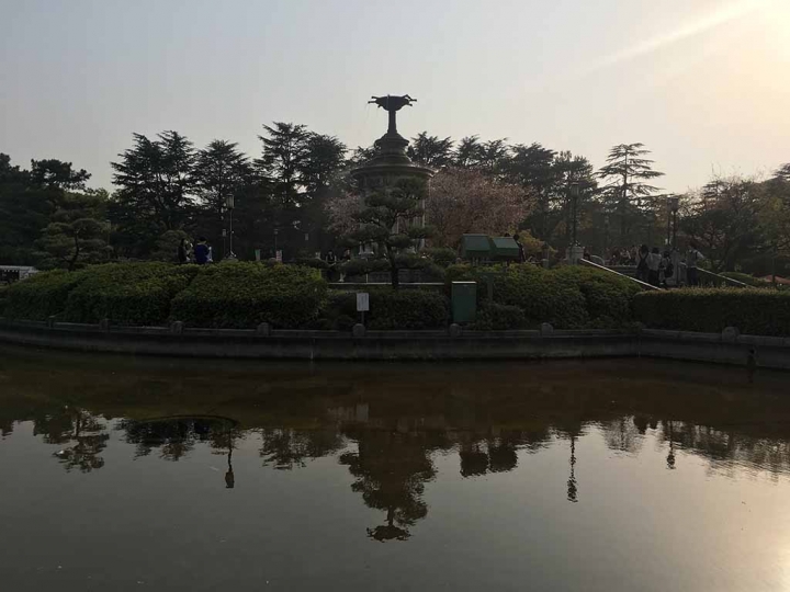 家族太平洋旅行社旅行之靜岡五日賞花團