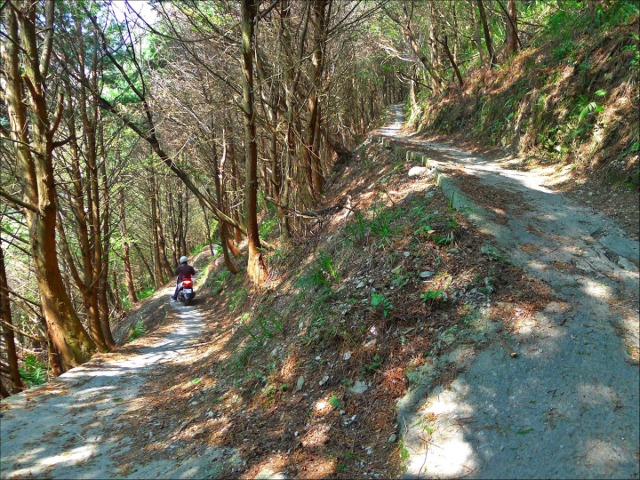 尋訪新佳陽吊橋陡下兩百公尺，路徑1.3公里16彎的燒引擎之旅！