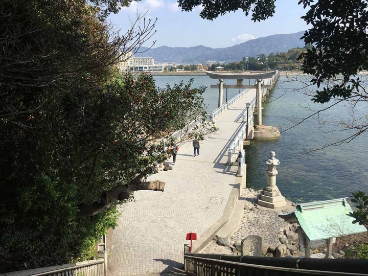 家族太平洋旅行社旅行之靜岡五日賞花團
