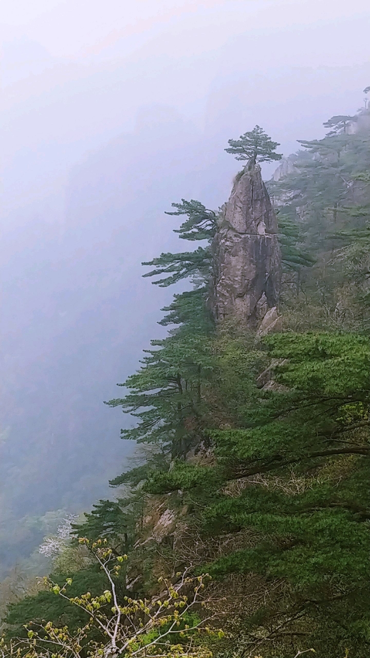 LG V30+ 黃山