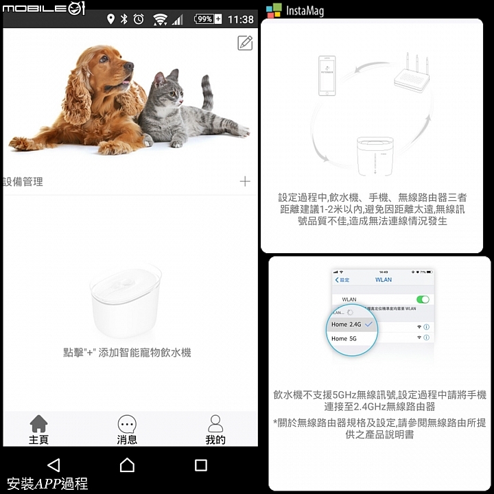 皇太后新男寵！？ 18歲老貓長壽之道大公開!!