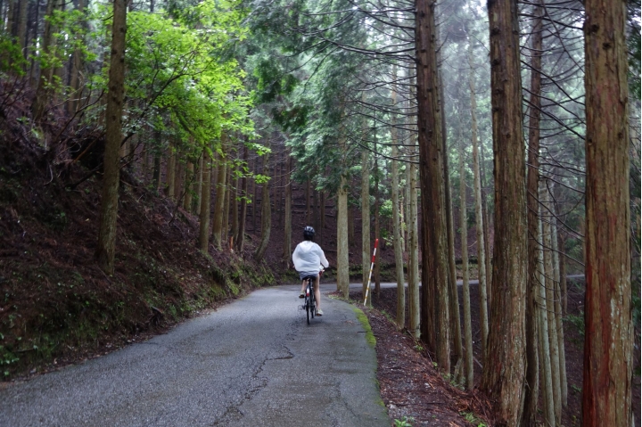 “流浪者日誌” X “MaoMaoTV” - 京都BIKEPACKING