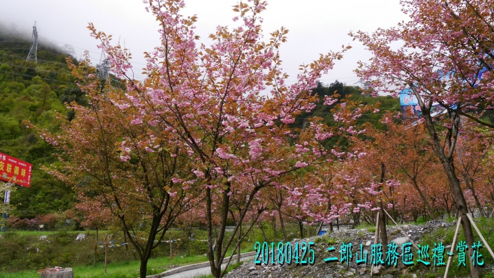 20180425-26 四姑娘山稻城亞丁之旅-7-8-新都橋瀘定鐵索橋成都-歸國