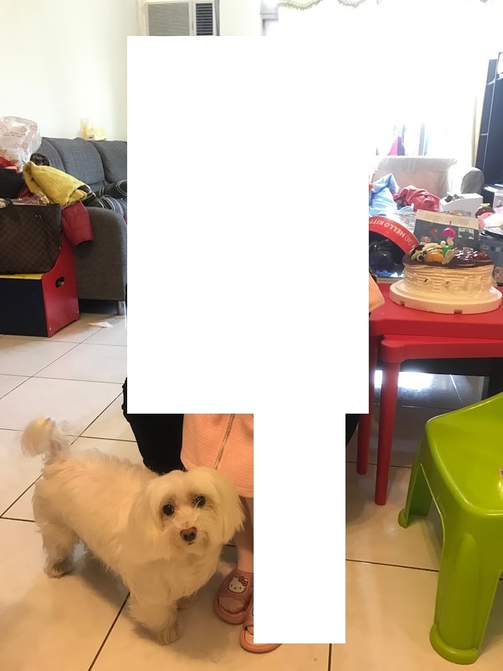 點我看大圖 跪求神人幫忙把過世的狗狗P到歐美的風景裡