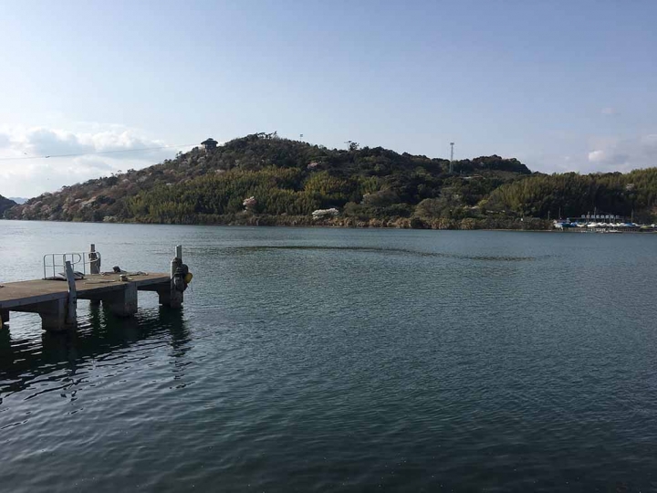家族太平洋旅行社旅行之靜岡五日賞花團