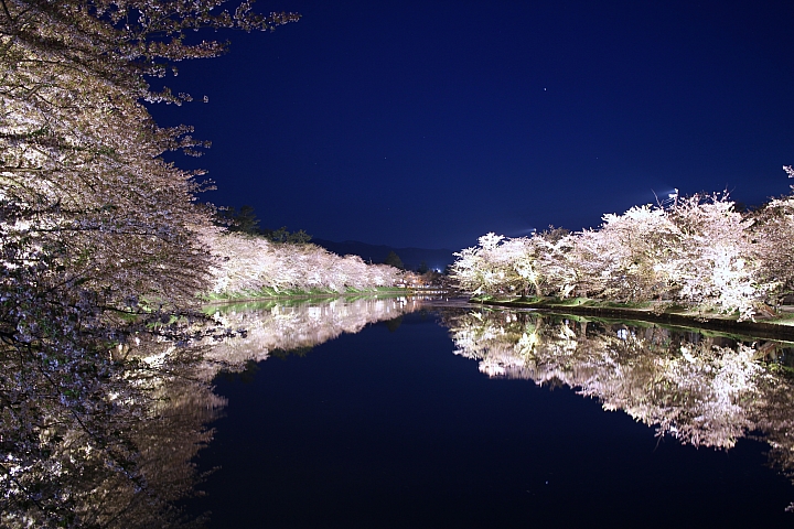 說是日本最壯觀夜櫻也不為過！今年絕對不能錯過的青森弘前百年櫻花祭！