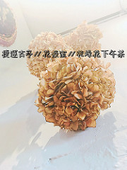 【食記*台北】老闆的秘密算命術&寵物友善&洗衣服&做蛋糕&乾燥花&喝咖啡全部都要「穿越九千公里交給你」!!