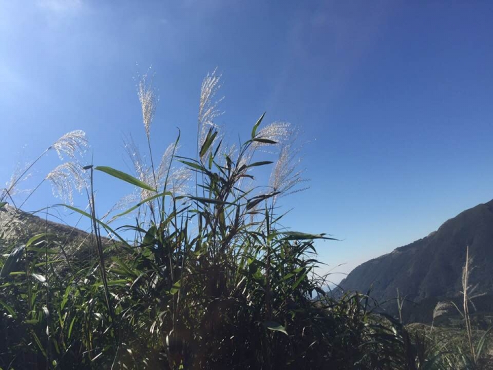 陽明山小油坑--實測台灣分享器