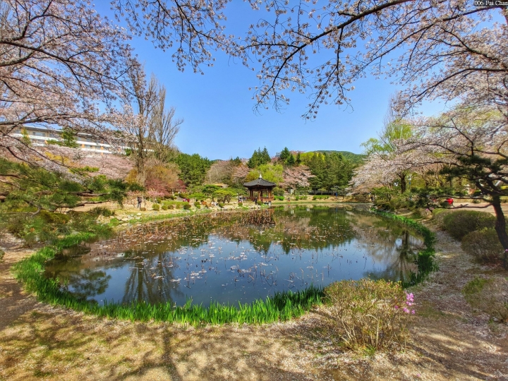 日常風景精選 119批~2018年4月6日~5月7日作品