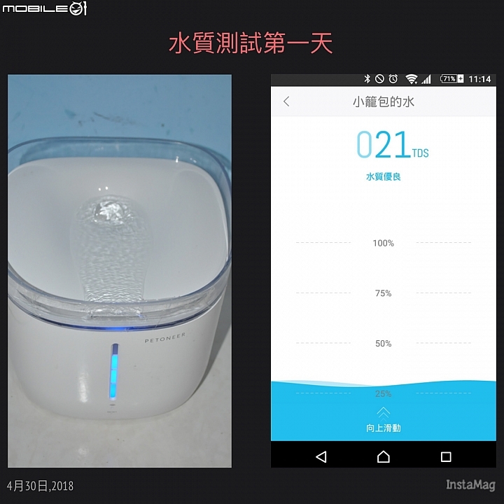 皇太后新男寵！？ 18歲老貓長壽之道大公開!!