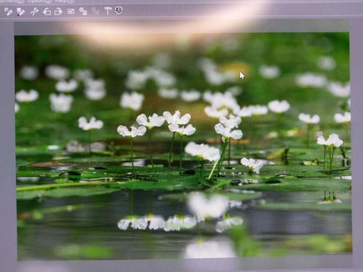 有關silkpix