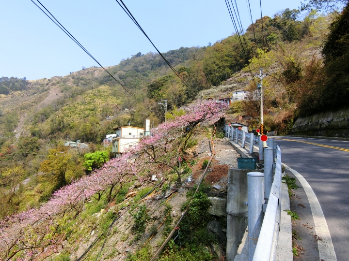 尋訪新佳陽吊橋陡下兩百公尺，路徑1.3公里16彎的燒引擎之旅！