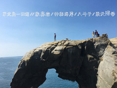 【食記*台北】老闆的秘密算命術&寵物友善&洗衣服&做蛋糕&乾燥花&喝咖啡全部都要「穿越九千公里交給你」!!
