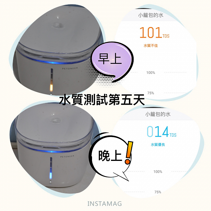 皇太后新男寵！？ 18歲老貓長壽之道大公開!!