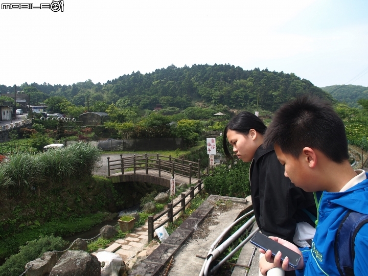 臺北市 北投區 2018竹子湖海芋季 -- 上火山，賞海芋去!!