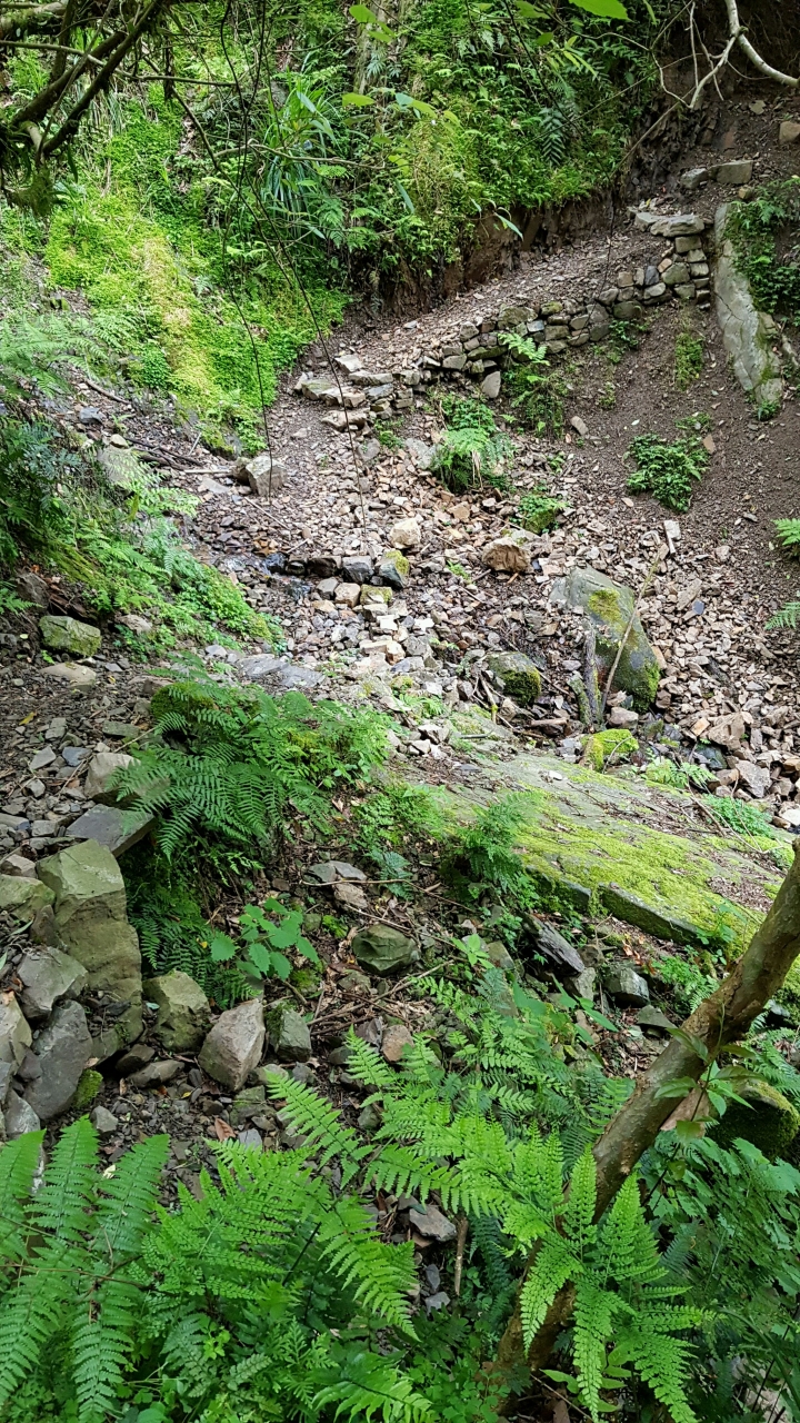 霞喀羅古道2018/05/12尖石養老端現況