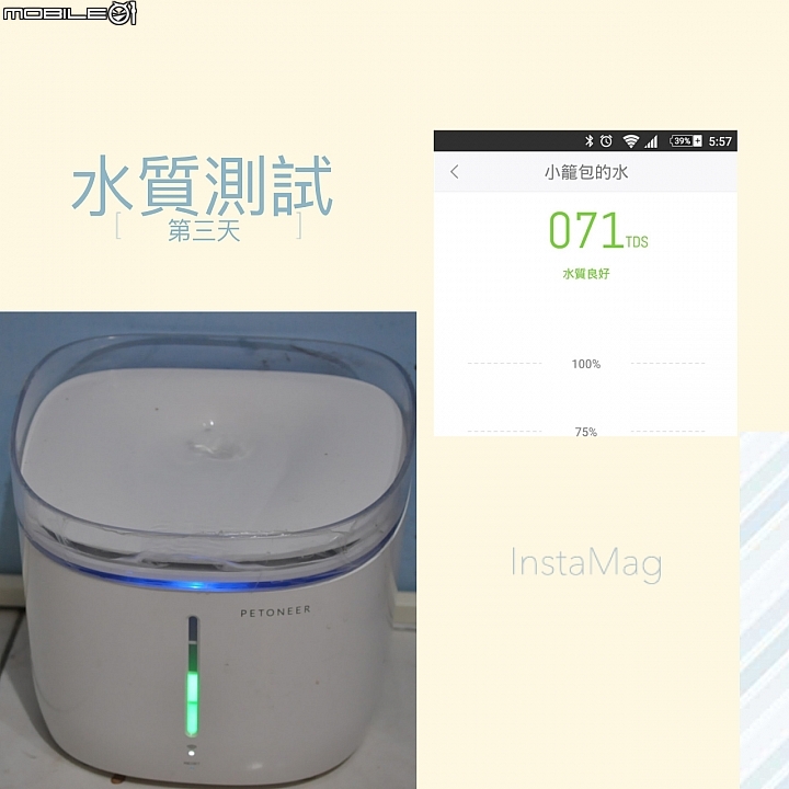 皇太后新男寵！？ 18歲老貓長壽之道大公開!!
