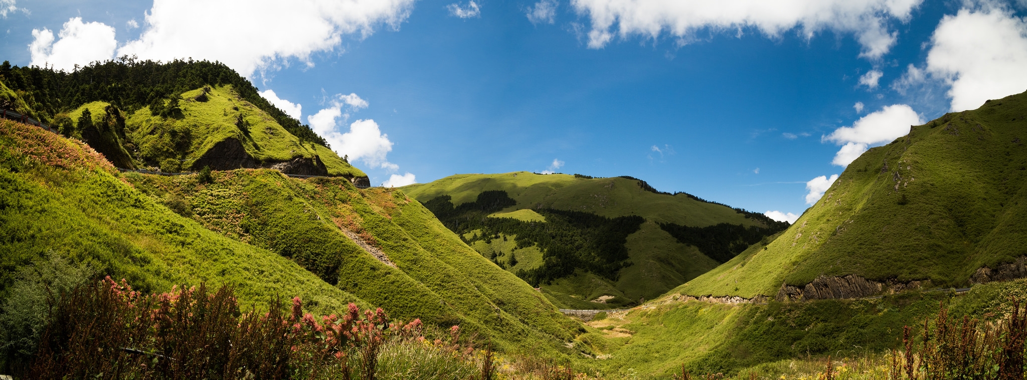 霧霾之上的最後淨土 合歡山國家森林遊樂區