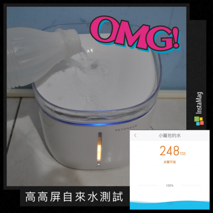 皇太后新男寵！？ 18歲老貓長壽之道大公開!!