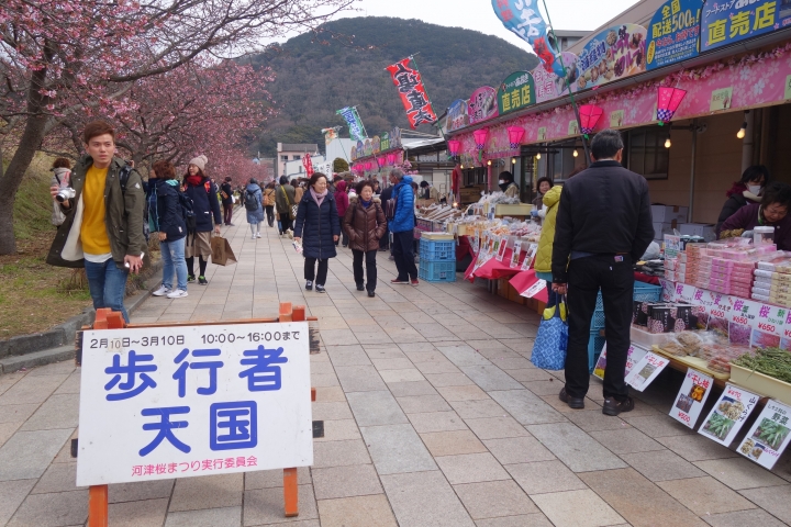 難忘的東北九天八夜之旅