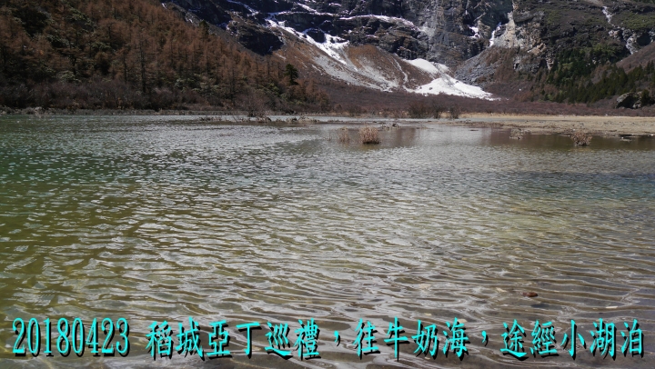 20180423 四姑娘山稻城亞丁之旅-5-亞丁洛絨牛場牛奶海五色海-1