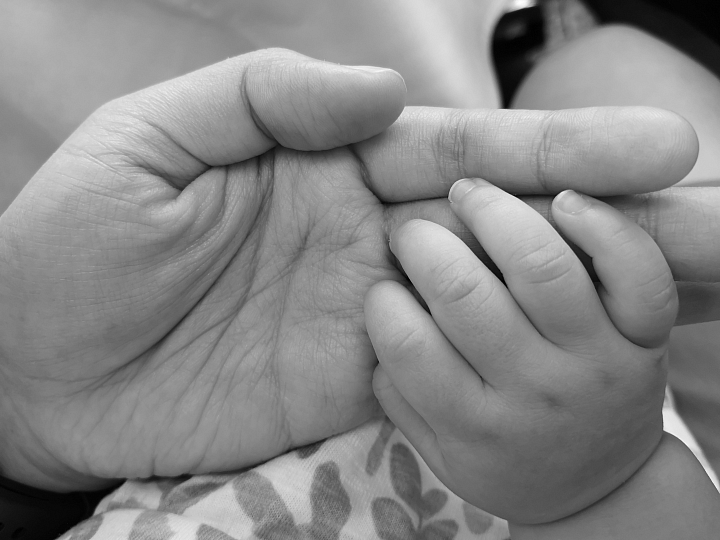 「一機攝天涯」HUAWEI P20 Pro 攝影實戰（多實拍照）